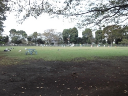 鶴間公園　芝生の広場